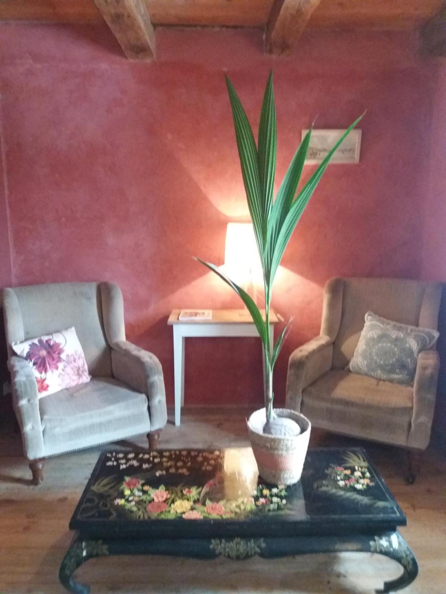 ホテル Domaine D'Angel-Berg Vezins-de-Levezou 部屋 写真